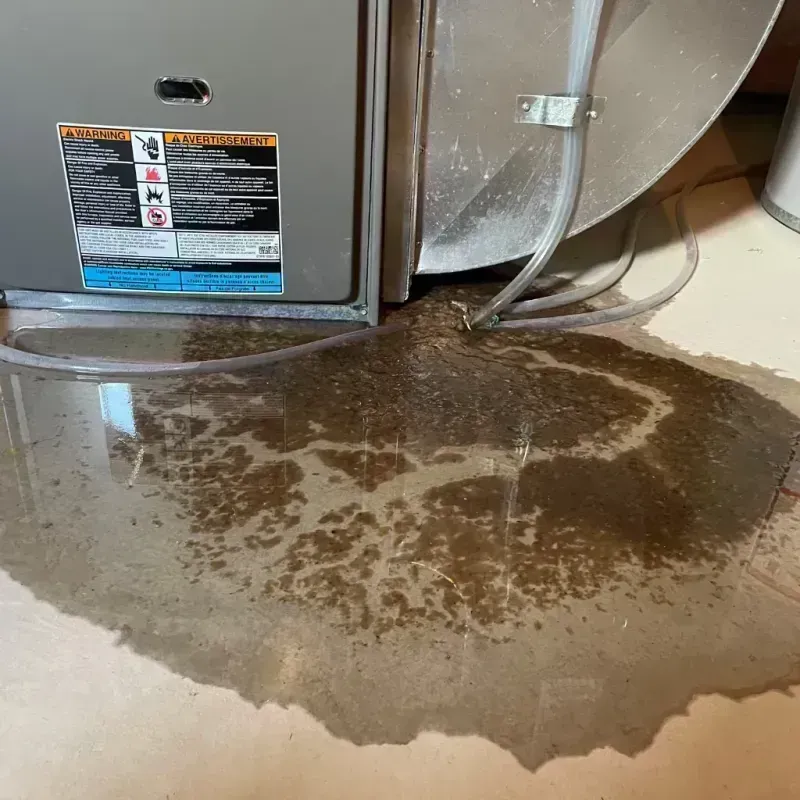 Appliance Leak Cleanup in South Shore, KY